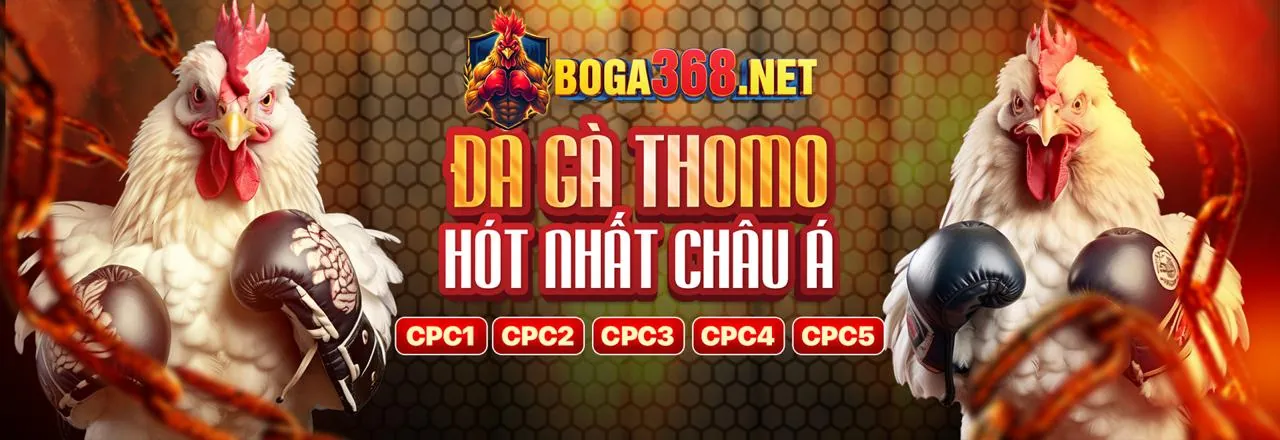 Hình ảnh banner thông báo nền tảng tg88